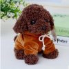 Kawaii Teddy Dog Plush Toy in Hoodie - Perfect Gift for Kids!