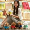 Kawaii Teddy Dog Plush Toy in Hoodie - Perfect Gift for Kids!
