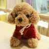 Kawaii Teddy Dog Plush Toy in Hoodie - Perfect Gift for Kids!