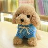 Kawaii Teddy Dog Plush Toy in Hoodie - Perfect Gift for Kids!