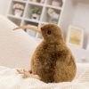 Kiwi Bird Plush Toy Soft Stuffed Animal Pillow for Home Decor