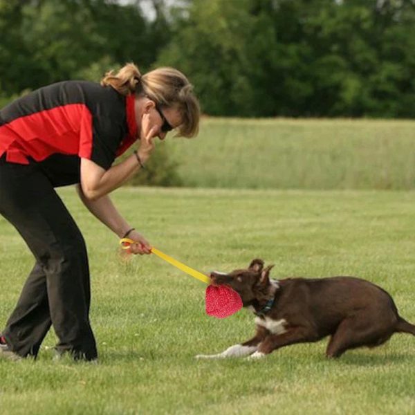 Large Dogs Bite Training Tugs Pillow Nylon Rope Handle