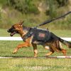 Large Dogs Training Harnesses With Pouches
