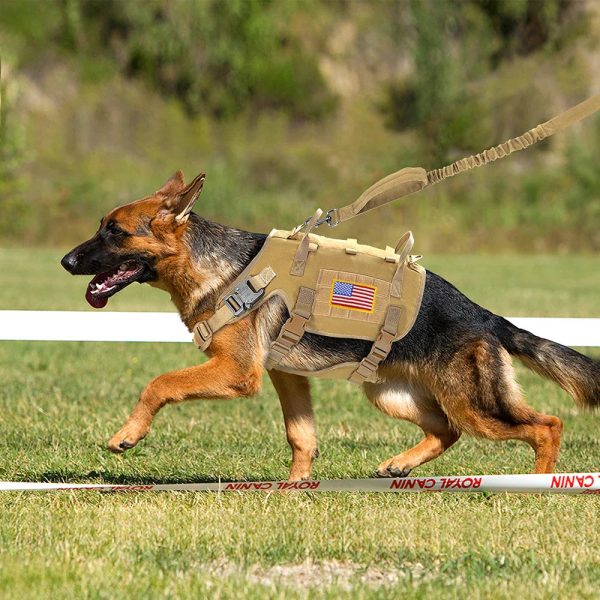 Large Dogs Training Harnesses With Pouches