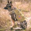Large Dogs Training Harnesses With Pouches