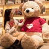 Large Kawaii Teddy Bear Plush Pillow 62cm