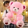 Large Teddy Bear Plush Toy