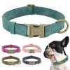 Leader Dog ID Collar