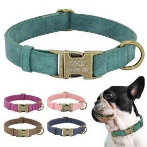 Leader Dog ID Collar