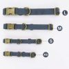Leader Dog ID Collar