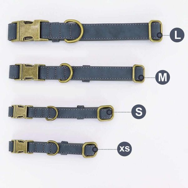 Leader Dog ID Collar