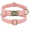Leader Dog ID Collar