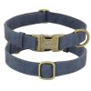 Leader Dog ID Collar