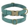 Leader Dog ID Collar