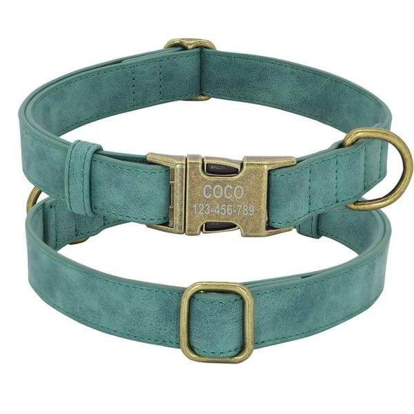 Leader Dog ID Collar