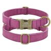 Leader Dog ID Collar