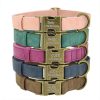 Leader Dog ID Collar