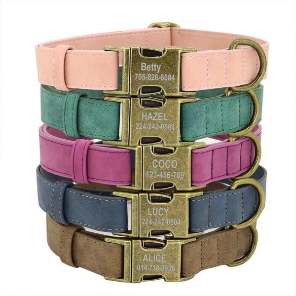 Leader Dog ID Collar