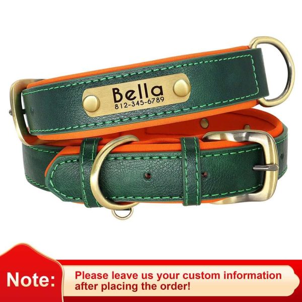 Leather ID Dog Collar