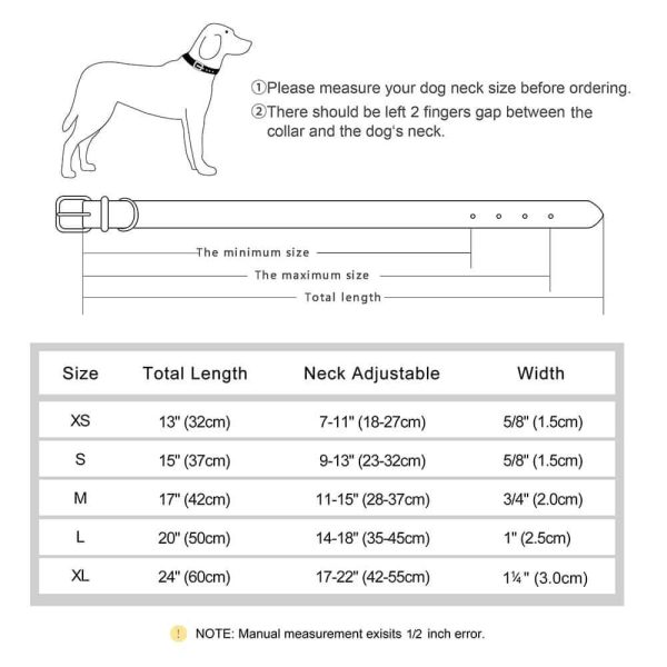 Leather ID Dog Collar