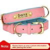 Leather ID Dog Collar