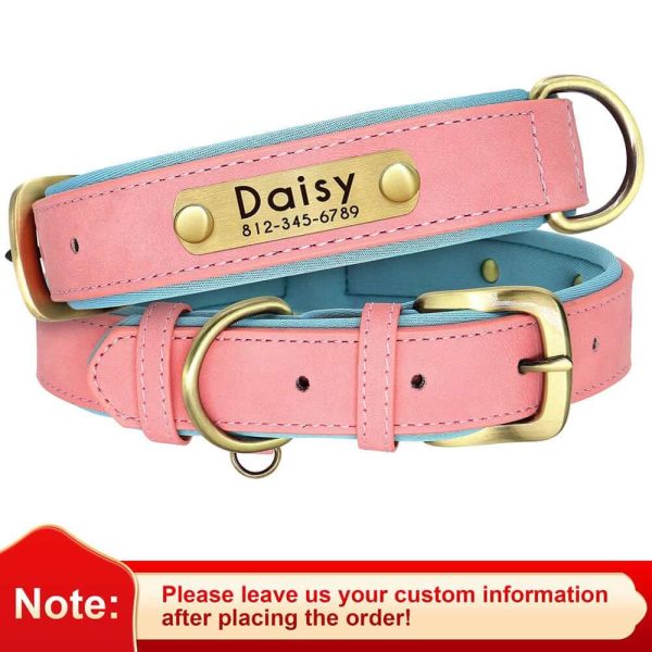 Leather ID Dog Collar