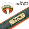 Leather ID Dog Collar