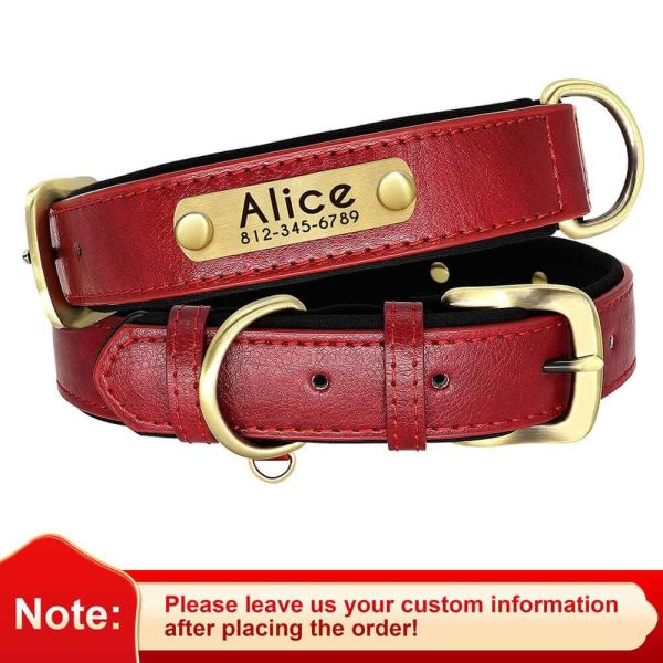 Leather ID Dog Collar