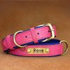 Leather ID Dog Collar