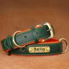 Leather ID Dog Collar