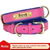 Leather ID Dog Collar