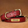 Leather ID Dog Collar
