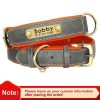 Leather ID Dog Collar