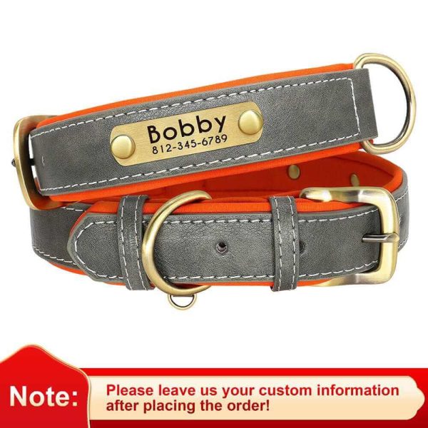 Leather ID Dog Collar