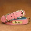 Leather ID Dog Collar