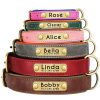 Leather ID Dog Collar