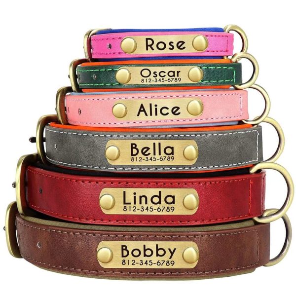 Leather ID Dog Collar