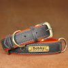 Leather ID Dog Collar