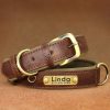 Leather ID Dog Collar
