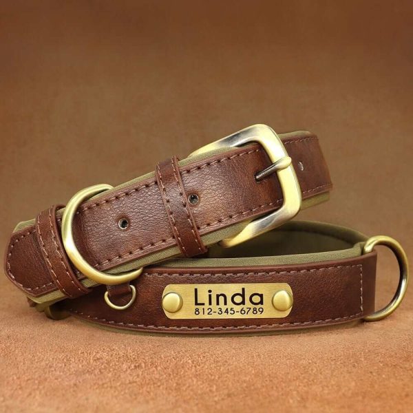 Leather ID Dog Collar