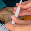 Led Candles With Magic Wand