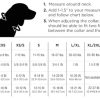 Led Dog Collar