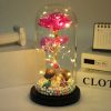 LED Enchanted Galaxy Rose in Glass Dome with Fairy Lights for Valentine’s Day and Christmas
