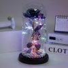 LED Enchanted Galaxy Rose in Glass Dome with Fairy Lights for Valentine’s Day and Christmas