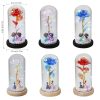 LED Enchanted Galaxy Rose in Glass Dome with Fairy Lights for Valentine’s Day and Christmas
