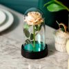 LED Eternal Rose in Glass Dome – Romantic Gift for Home