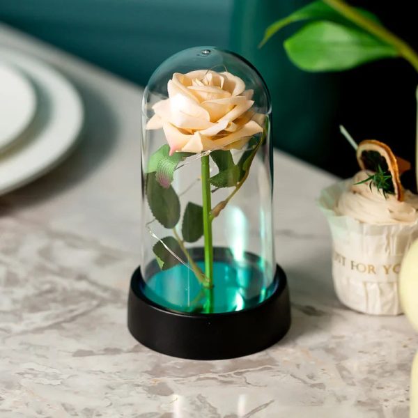 LED Eternal Rose in Glass Dome – Romantic Gift for Home