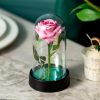 LED Eternal Rose in Glass Dome – Romantic Gift for Home