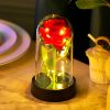 LED Eternal Rose in Glass Dome – Romantic Gift for Home