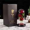 LED Galaxy Rose Night Light Artificial Flower Decor